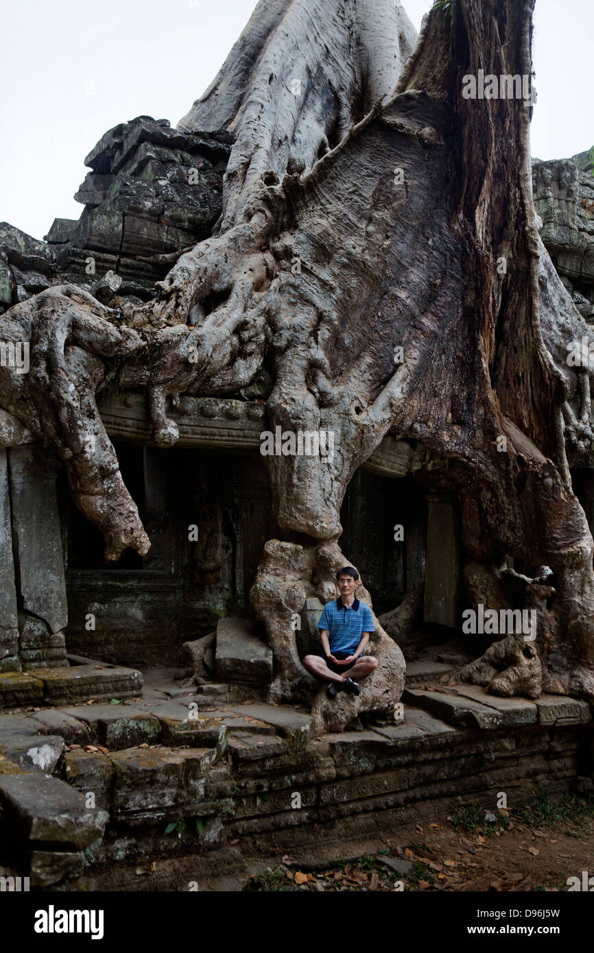 De plus en plus racine de l'arborescence dans la structure d'un temple à Preah Khan. Ankor Wat Cambodge Banque D'Images