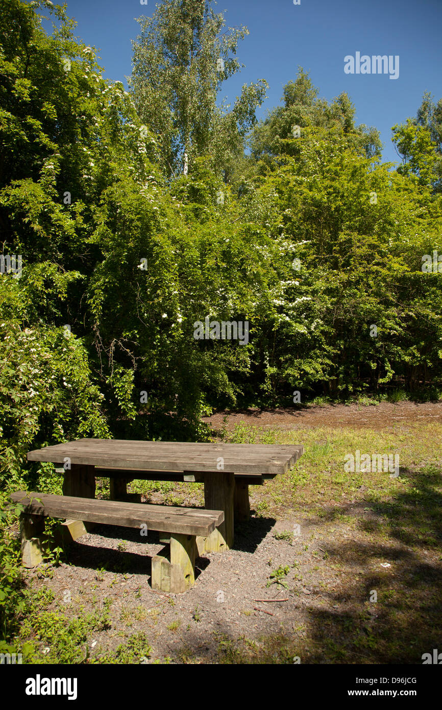 Table de pique-nique à un grain de beauté Banque D'Images