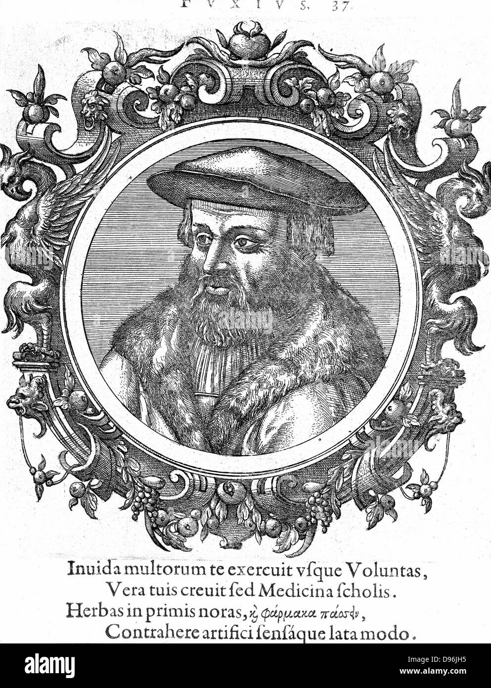 Leonhard Fuchs (1501-56) et un botaniste allemand. Fuchsia nommé d'après lui. Gravure sur bois Banque D'Images