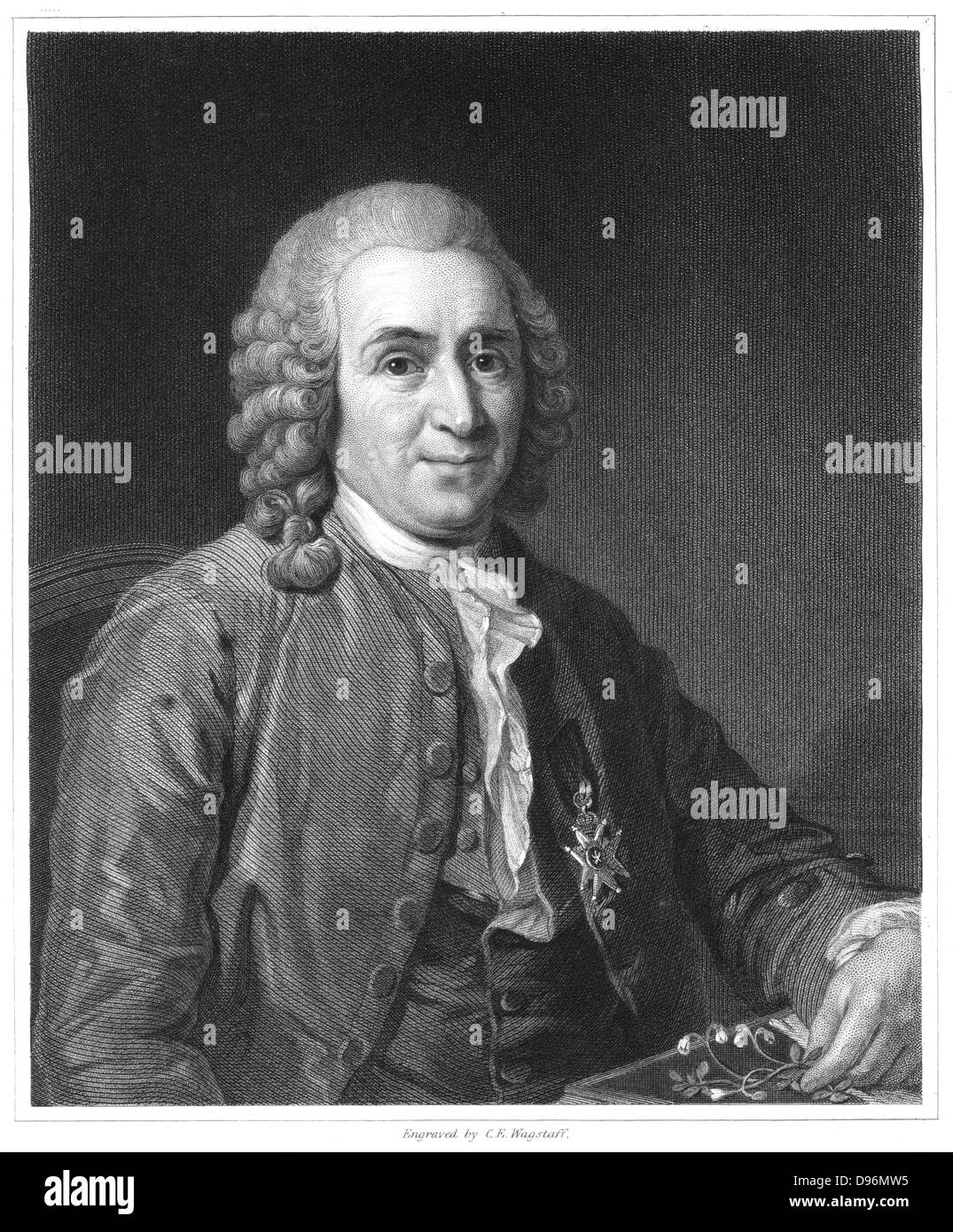 Linnaeus (Carl von Linne - 1707-1778) naturaliste suédois. À partir de 'La galerie de portraits", Vol.IV, Charles Knight, Londres, 1835. Linné est montré tenant un brin de Linnea borealis (Twinflower) un arbuste nommé en son honneur. Banque D'Images