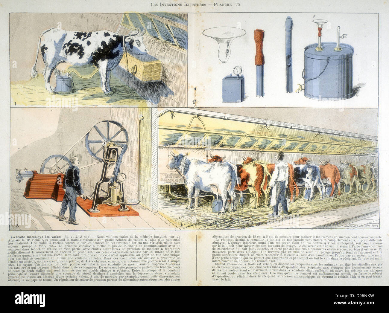 Équipé d'une salle de traite et les pulsations d'aspiration Chardon traite machine, 1895. Conçu par M. Alexandre Shields de Glasgow, en Écosse, en 1895, le Thistle était considéré comme trop coûteux et n'a pas développé, même si les machines utilisées le même principe. À 3 est une pompe à vide propulsé par un moteur stationnaire hp 4-5. À partir de 'Les inventions Illustrees' (Paris, septembre 1899). Chromolithographie. Banque D'Images