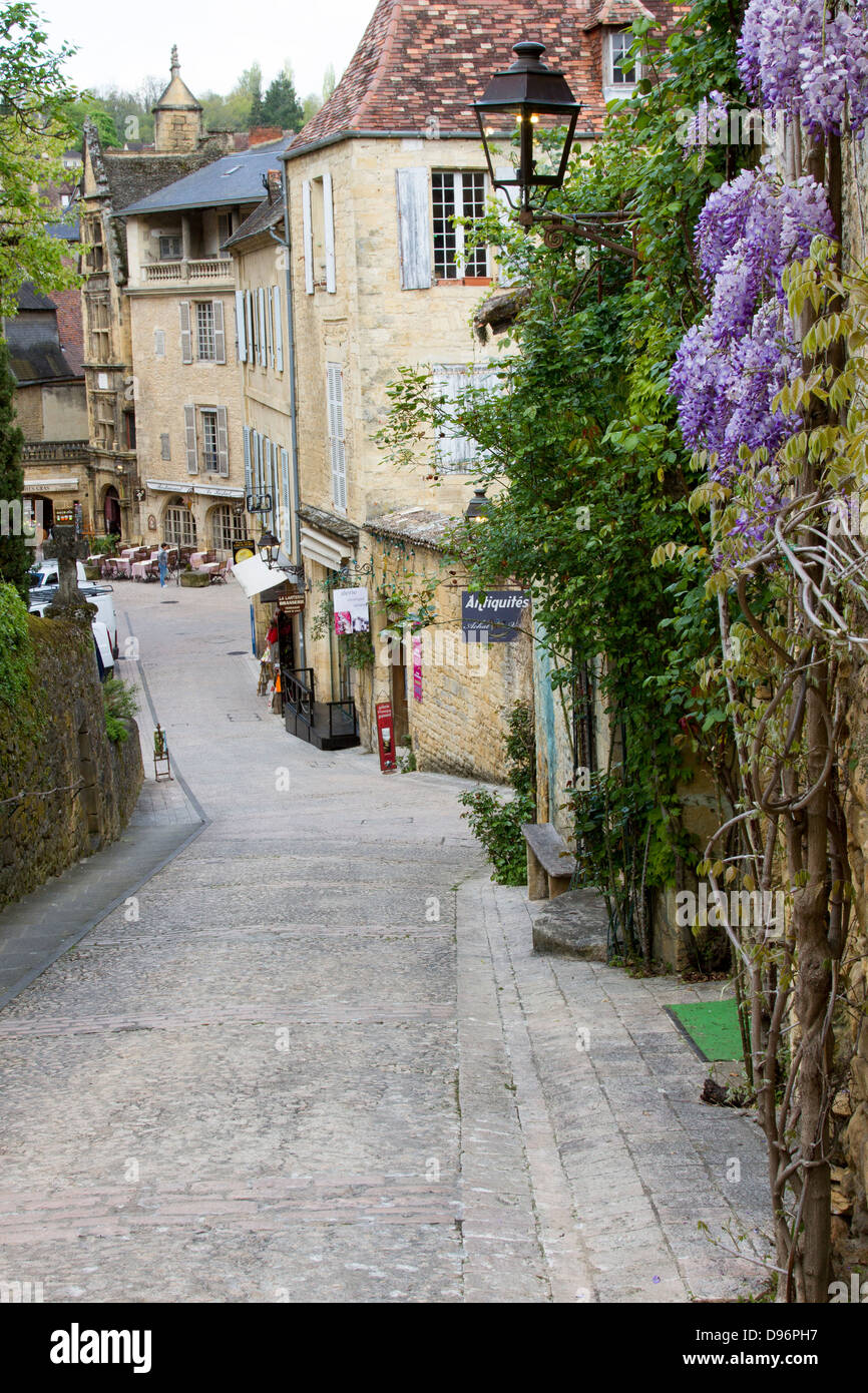 Charmante rue pavée bordée de magasins touristiques de glycine qui croissent sur les murs en pierre à Sarlat, Dordogne France Banque D'Images