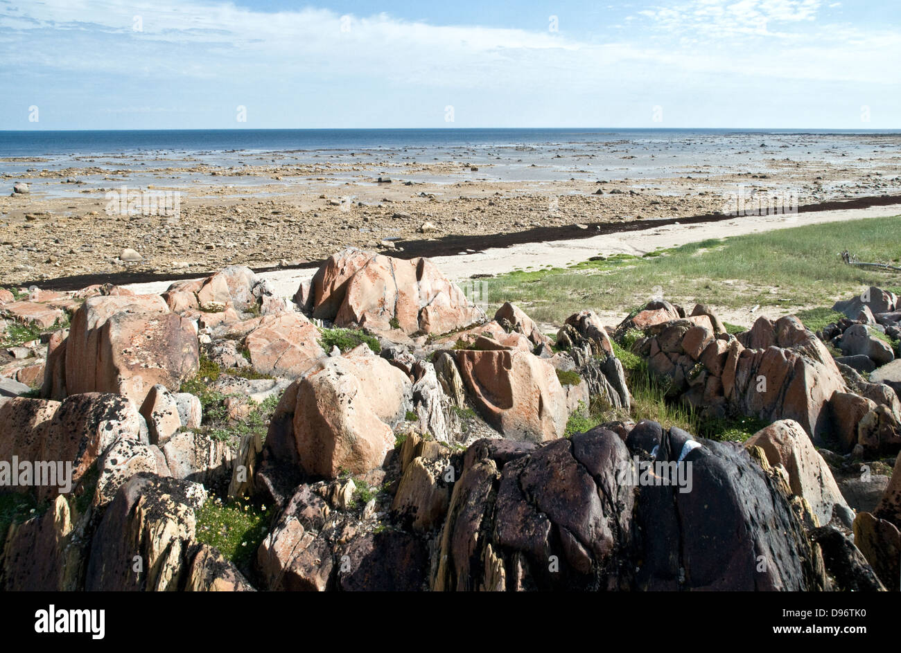 Affleurement rocheux de la côte ouest de la baie d'Hudson à marée basse dans l'océan Arctique, en terrain du Bouclier canadien, près de Churchill, Manitoba, Canada. Banque D'Images