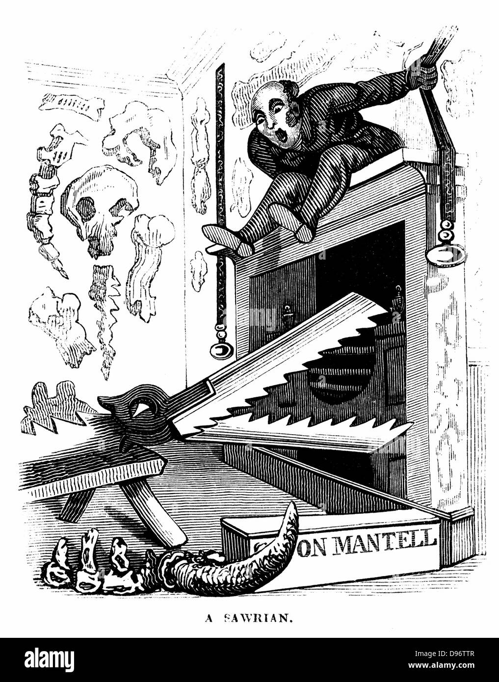 Un Sawrian : cartoon sur Gideon Mantell (1790-1852) Le géologue anglais qui a découvert une suarian, l'Iguanodon, près de Cuckfield, Sussex en 1820, et en a déduit les dents que c'était un herbivore, pas un carnivore comme déjà découvert les dinosaures. Caricature de John Scott, de Thomas Hood 'bande dessinée' annuel, Londres, 1836. Gravure sur bois. Banque D'Images