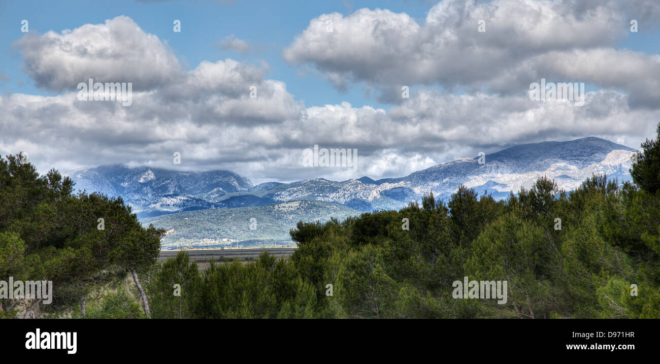 Campagne espagnole au Parc naturel de s'Albufera de Mallorca Banque D'Images