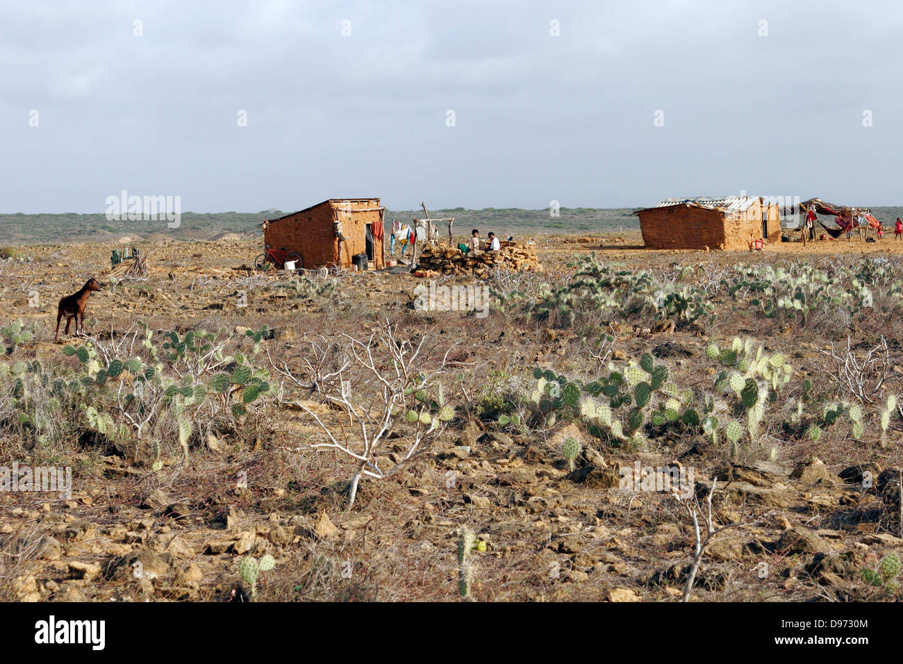 Peu de règlement des peuples indigènes Wayuu, Punta Gallinas, la péninsule Guajira, Colombie, Amérique du Sud Banque D'Images