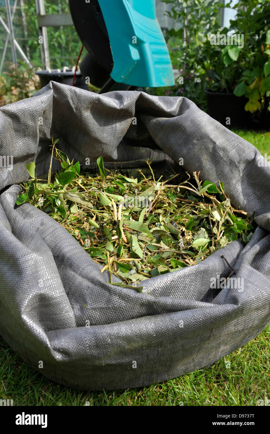 Pour l'utilisation de coupures d'arbustes déchiquetés comme paillage ou compostage. Banque D'Images