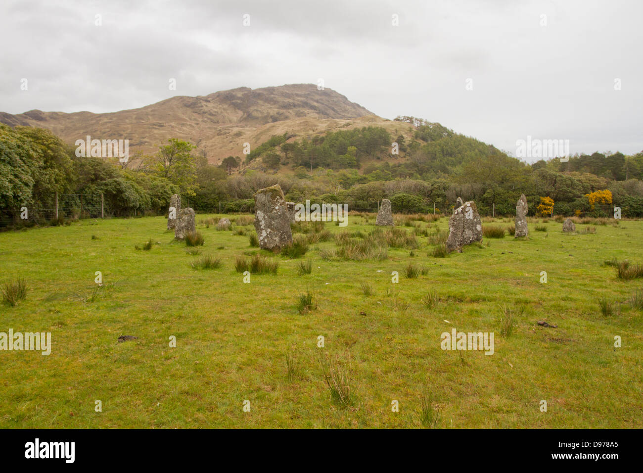 Cercle de pierres debout Lochbuie, Isle of Mull, Scotland Banque D'Images