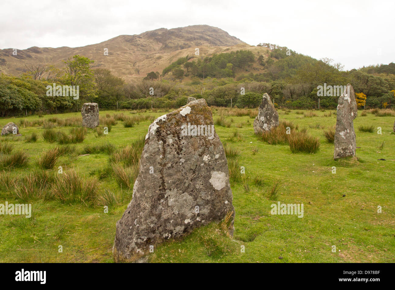 Cercle de pierres debout Lochbuie, Isle of Mull, Scotland Banque D'Images