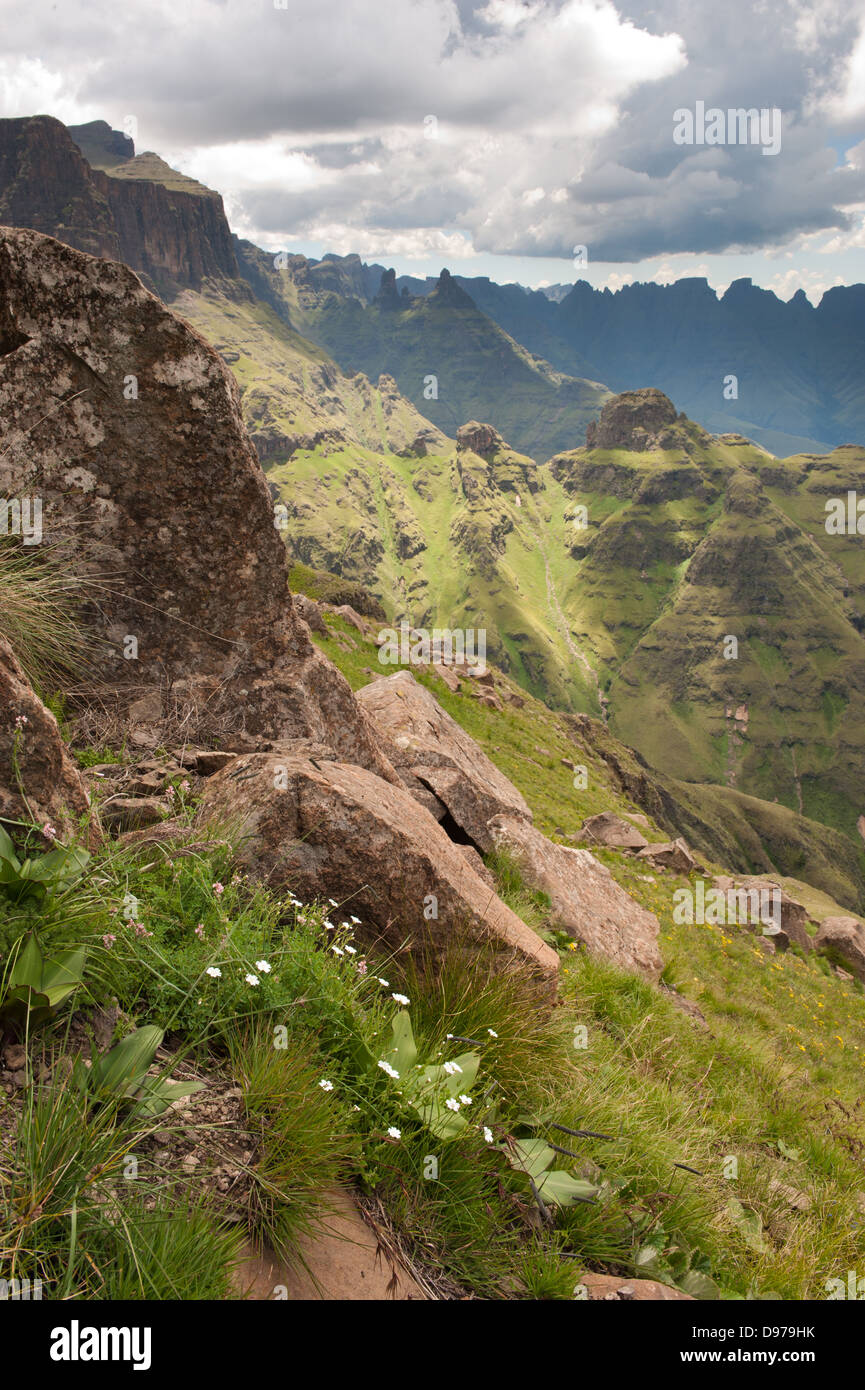 Vue depuis le haut de tuyaux d'orgue, le parc Ukhahlamba Drakensberg, Afrique du Sud Banque D'Images