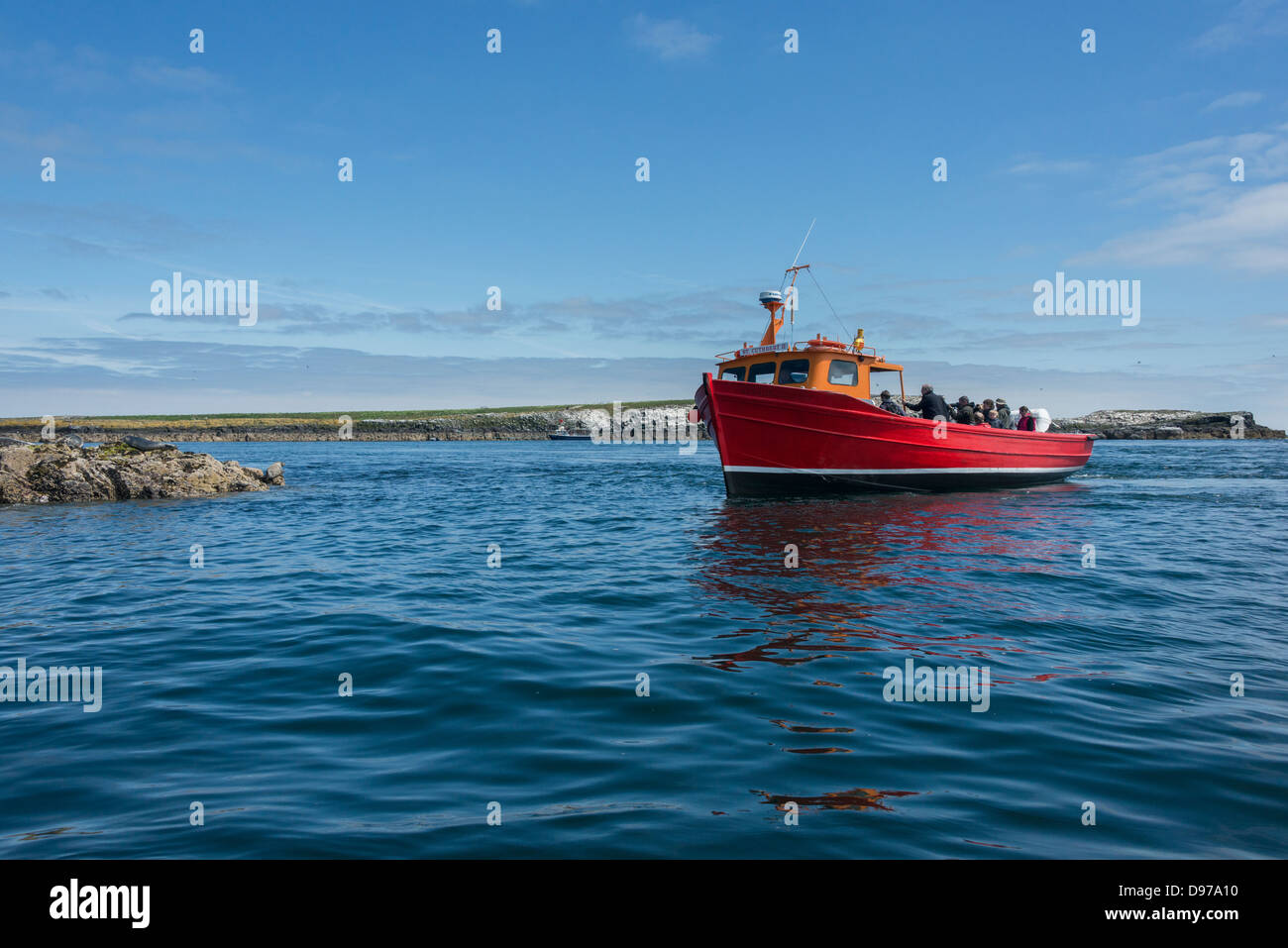 Les touristes sur un bateau pour les îles Farne repérer une paire de phoques gris de l'Atlantique au soleil sur les rochers. Banque D'Images