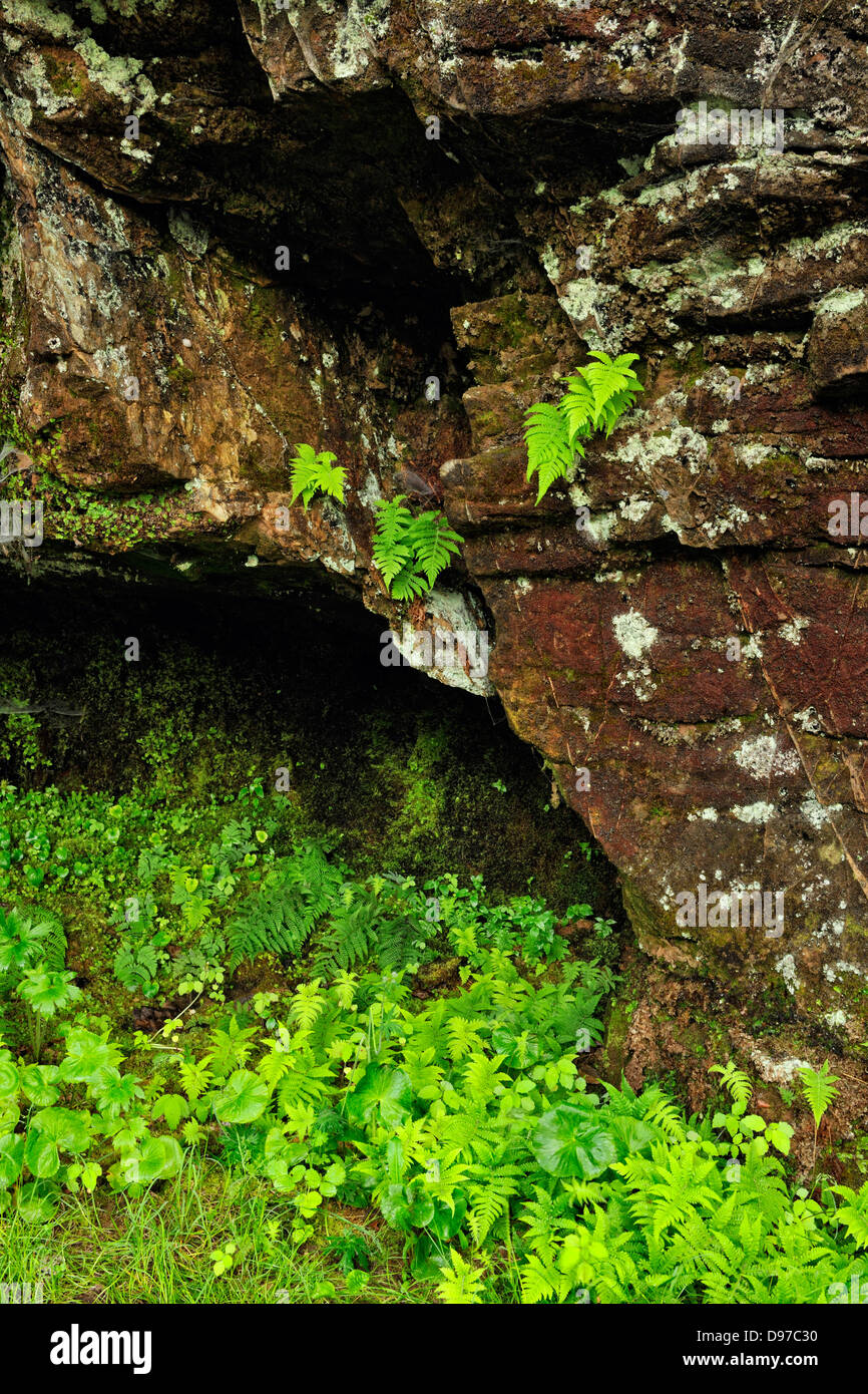 Murs de grès à Scott Falls, au train Michigan USA Banque D'Images