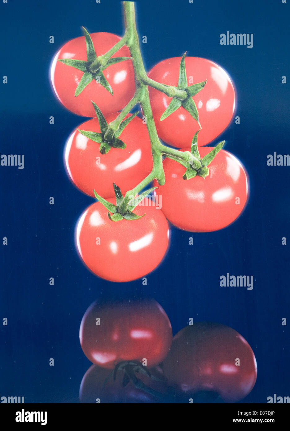 Détail de tomates de vigne sur Tesco UK, van de livraison Banque D'Images