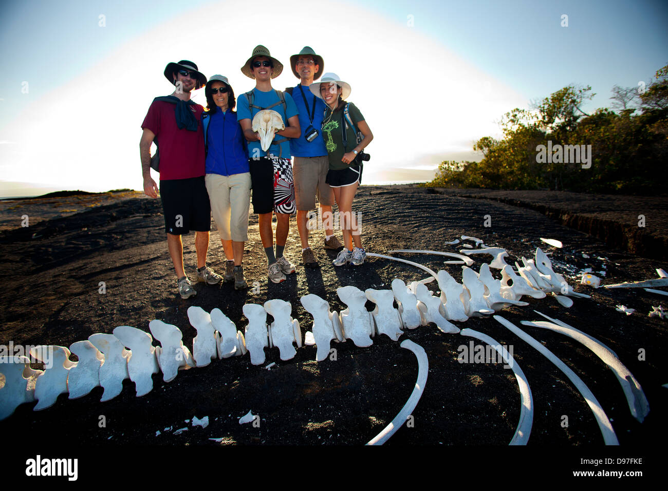 Les touristes d'être photographiés avec les os de baleine trouvés sur l'île de Fernandina, Espinozo Punta, Galapagos, Equateur Banque D'Images