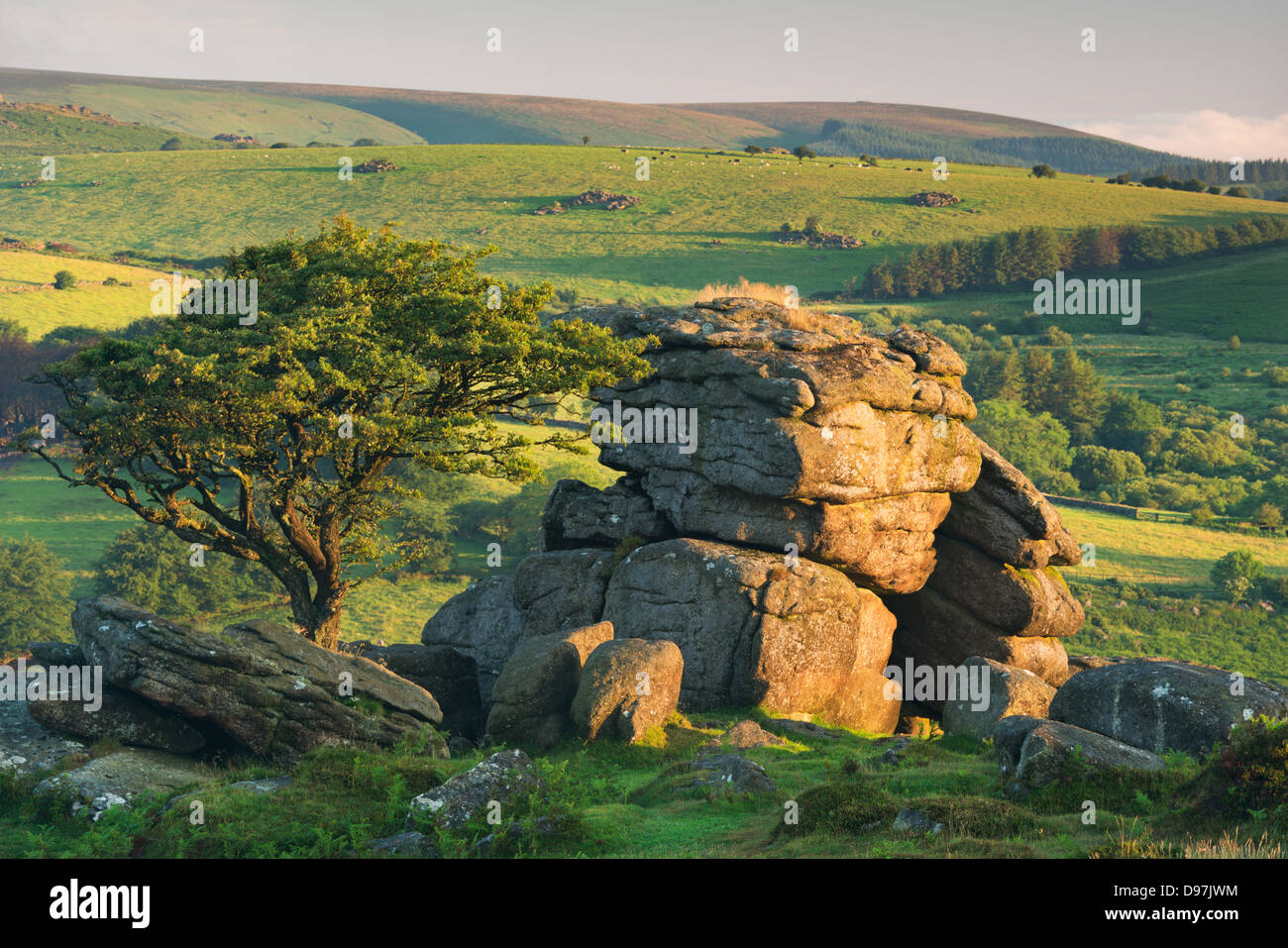 La lande de Dartmoor et la campagne en été, Saddle Tor, Dartmoor, dans le Devon, Angleterre. Juillet 2012 Banque D'Images