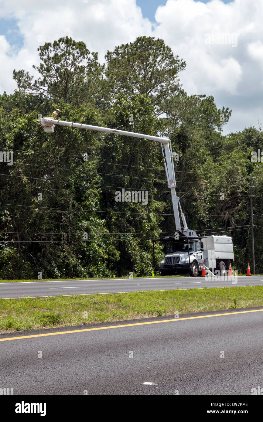 Les équipes de l'utilitaire avec la benne des camions sont des arbres de fraisage le long d'une route de comté pour éviter d'endommager les lignes électriques. Banque D'Images