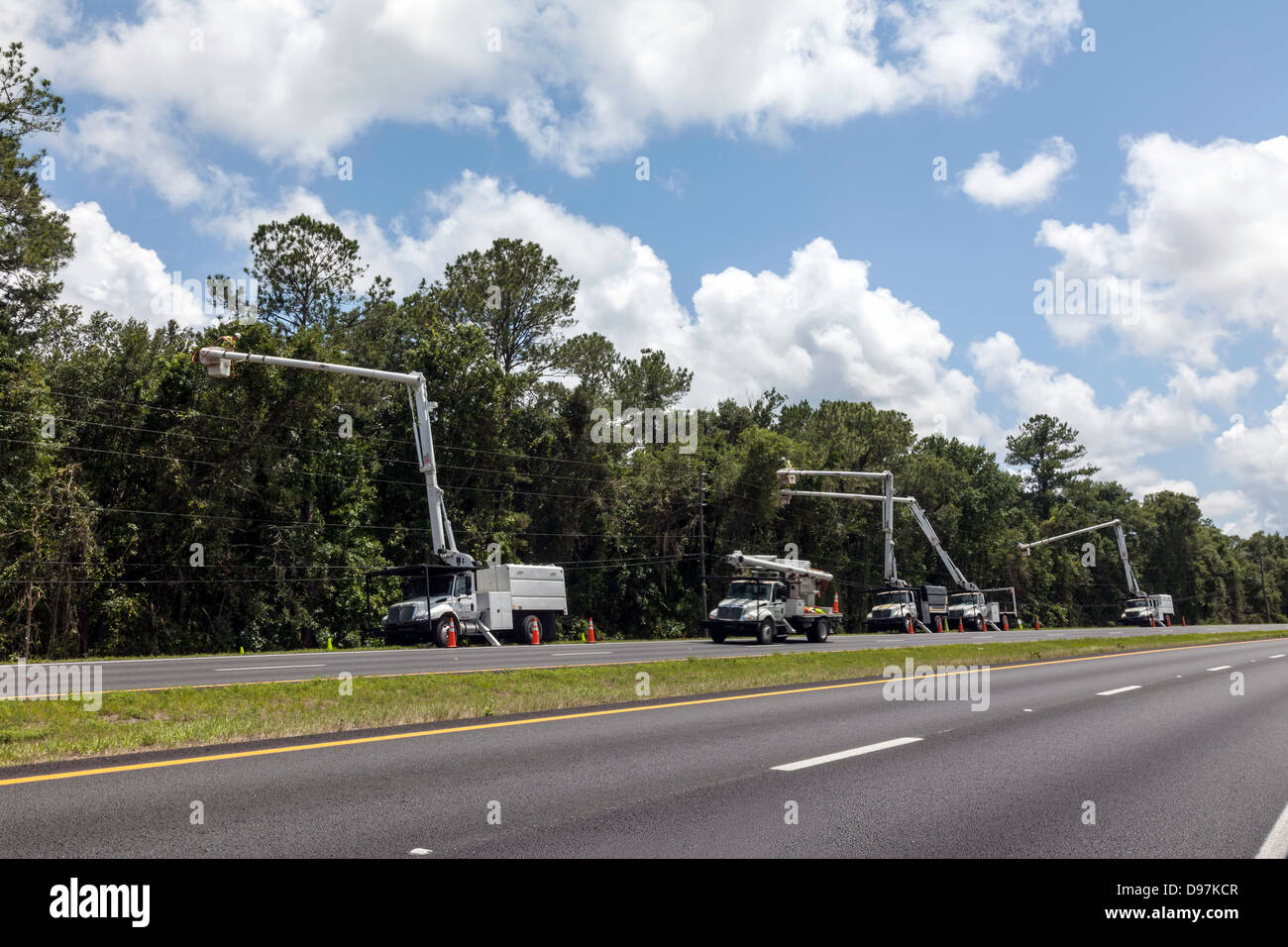 Les équipes de l'utilitaire avec la benne des camions sont des arbres de fraisage le long d'une route de comté pour éviter d'endommager les lignes électriques. Banque D'Images