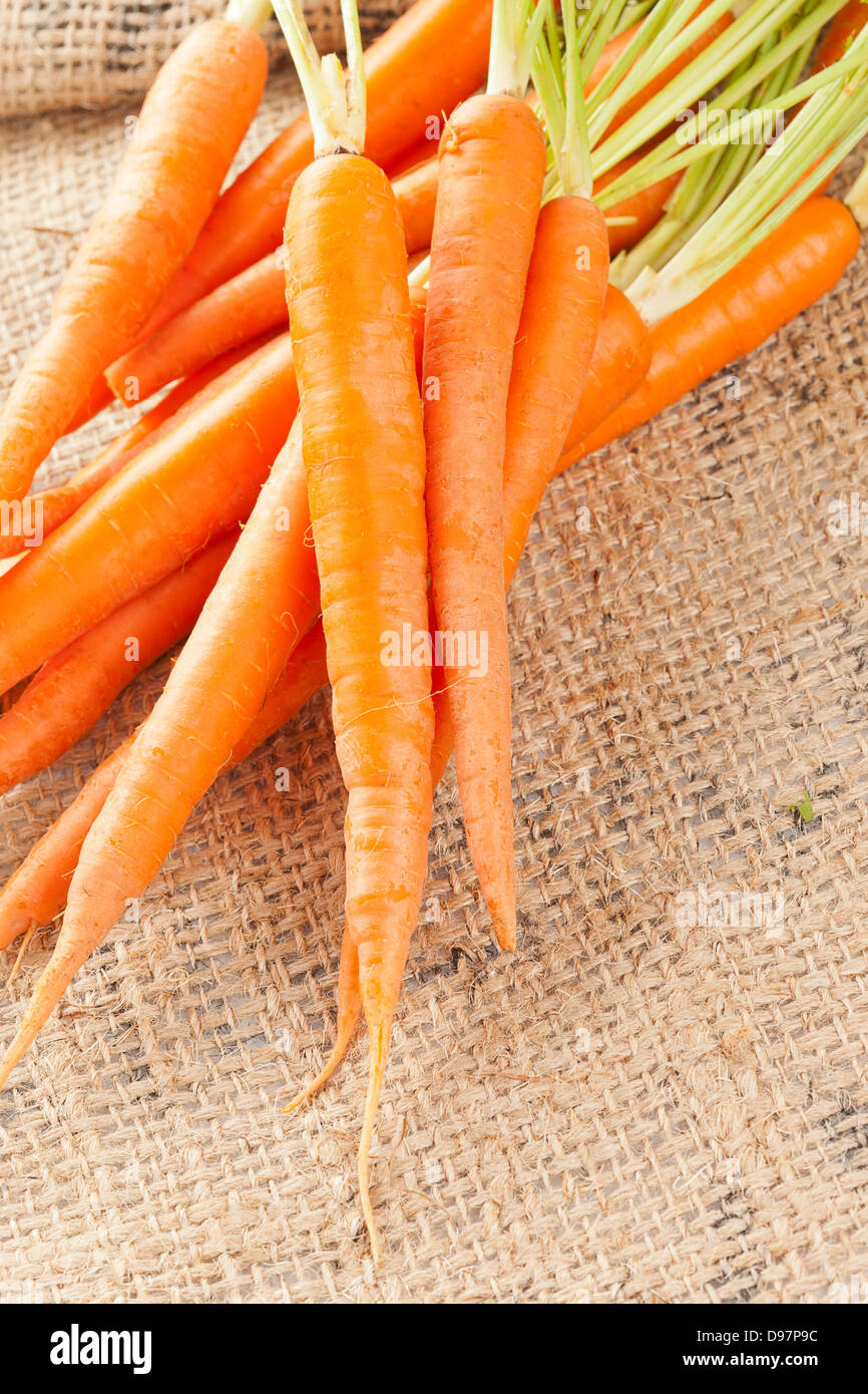 Produits frais bio carottes contre un arrière-plan Banque D'Images