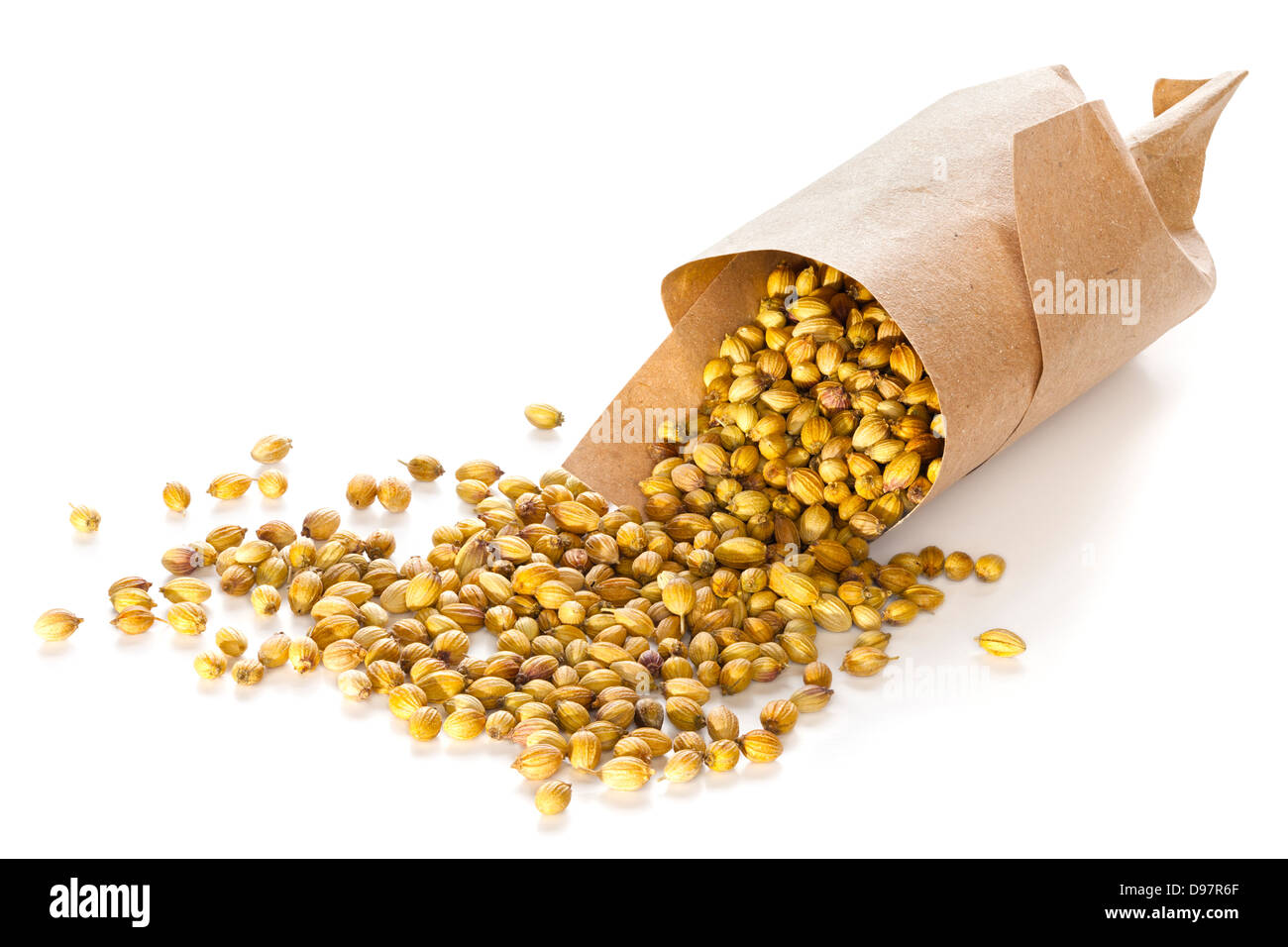 Les graines de coriandre déversant à partir d'une torsion de papier brun, sur un fond blanc, l'avant à l'arrière. Banque D'Images