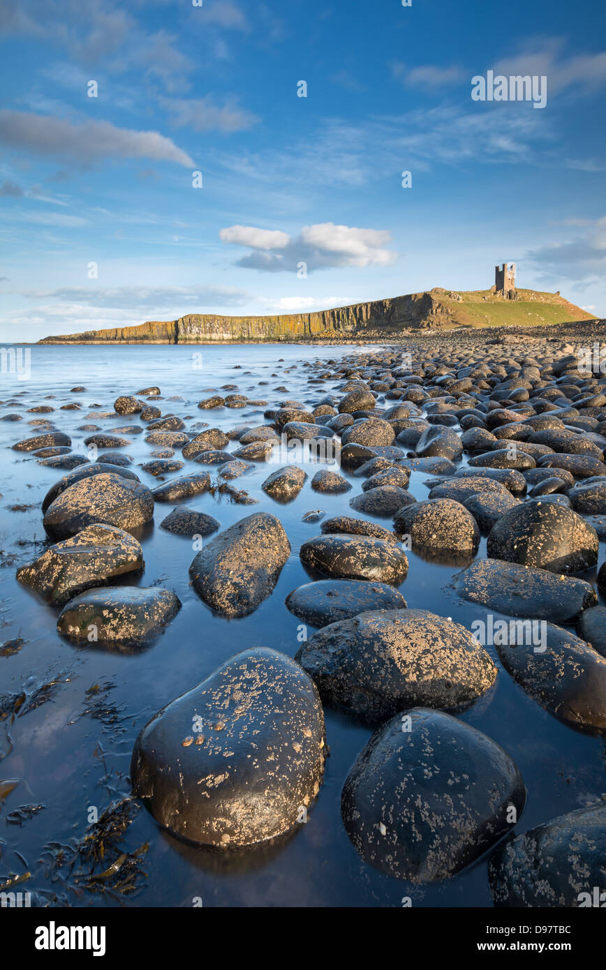 Soleil de l'après-midi sur Château De Dunstanburgh, vu du rocher parsemé rives de la baie, Embleton Northumberland, Angleterre. Banque D'Images