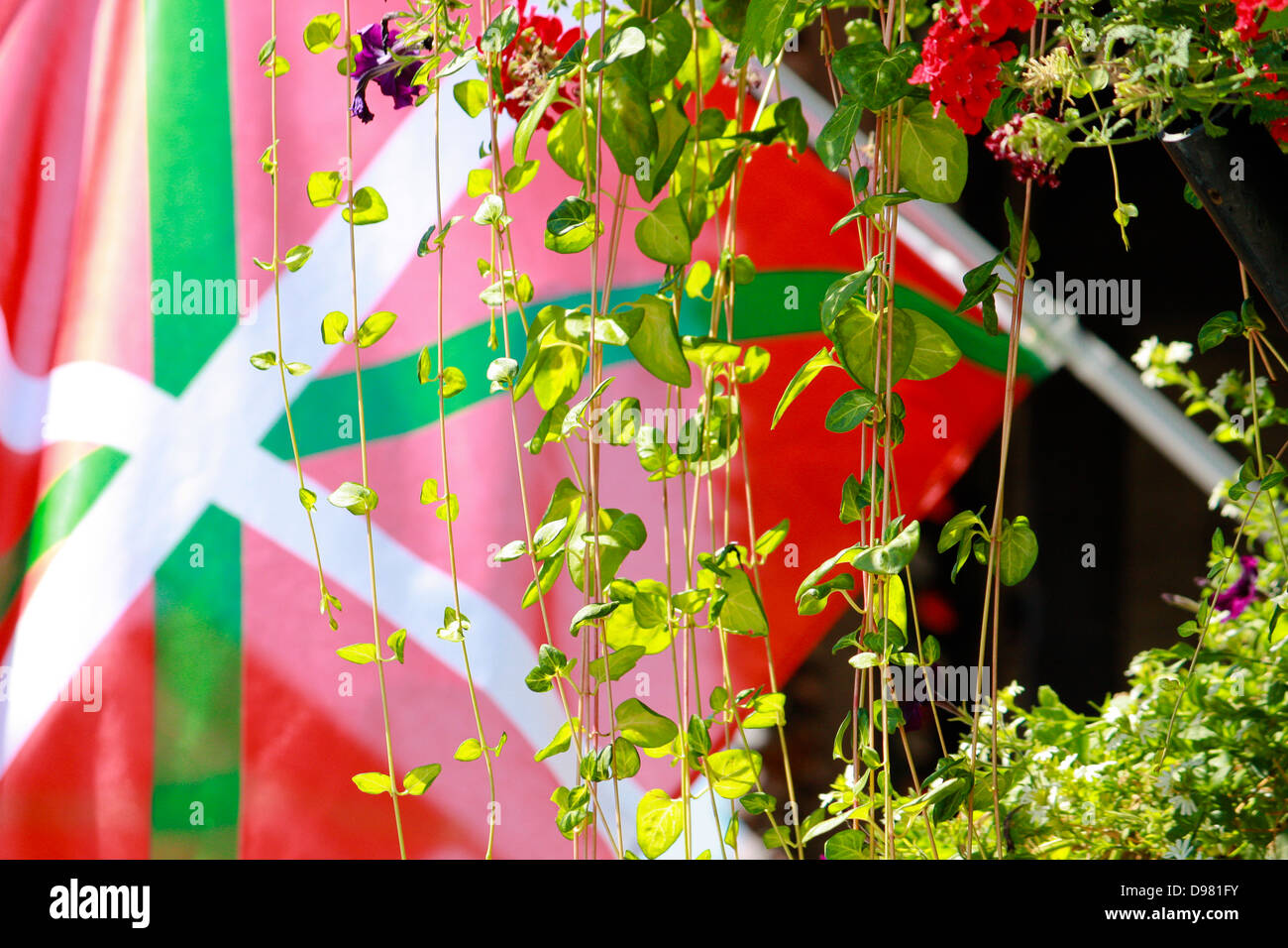 Drapeau Basque vu à travers les plantes suspendues à l'entrée du Musée Basque sur bloc Basque à Boise, Idaho Banque D'Images