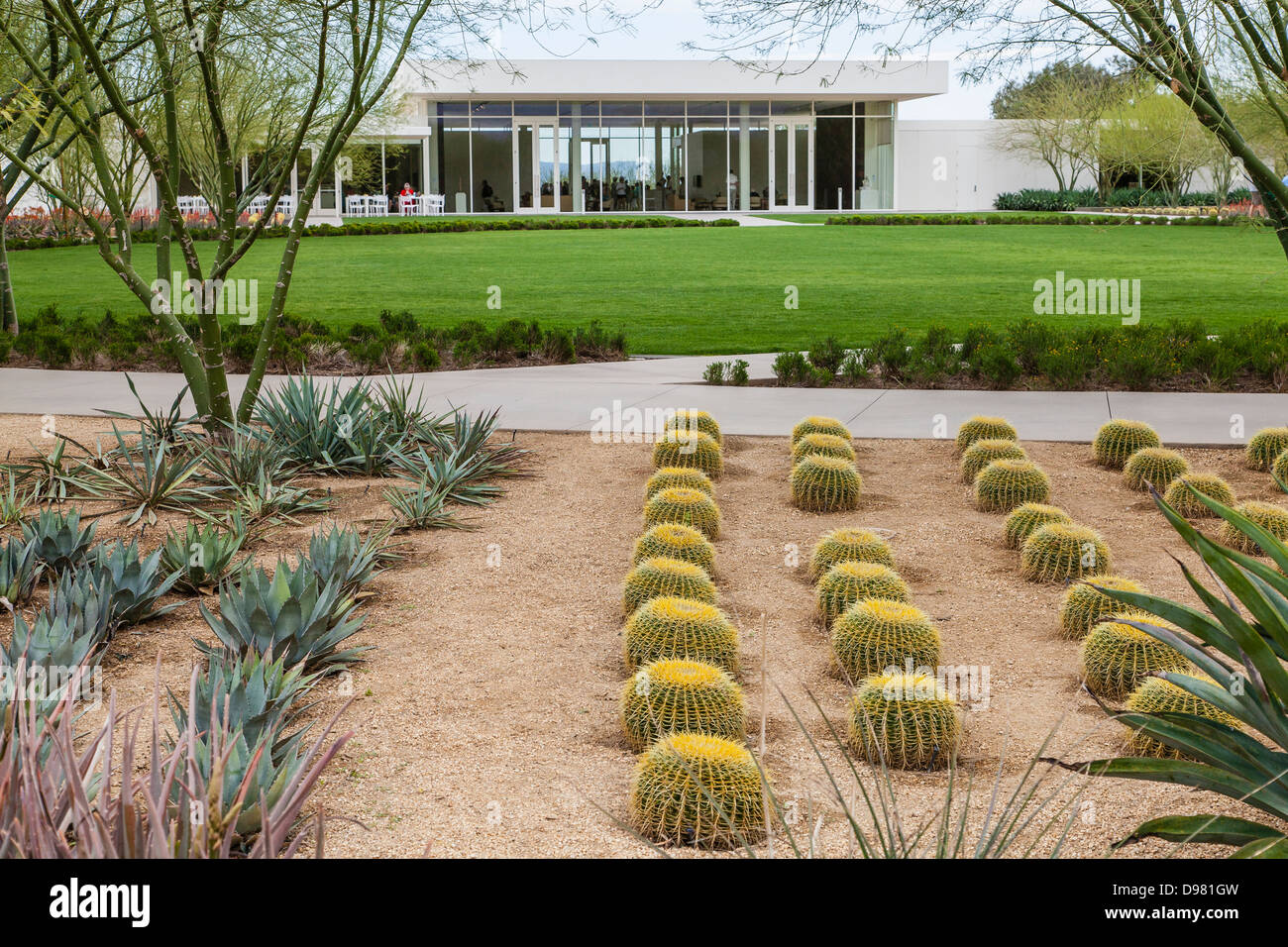 Le canon de cactus dans une partie du jardin dessert au centre et Jardins de Sunnylands à Palm Dessert, CA. Banque D'Images