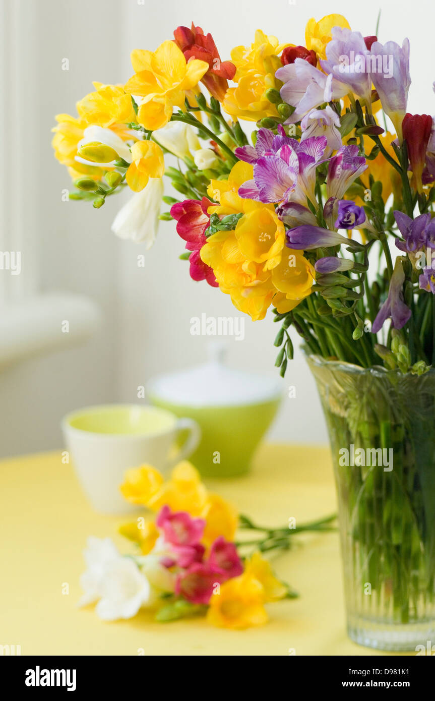 Un petit tas de jaune, rouge, violet, rose, blanc et jaune sur un Freesias tapis de table à côté d'un vase en verre de la même fleurs. Banque D'Images