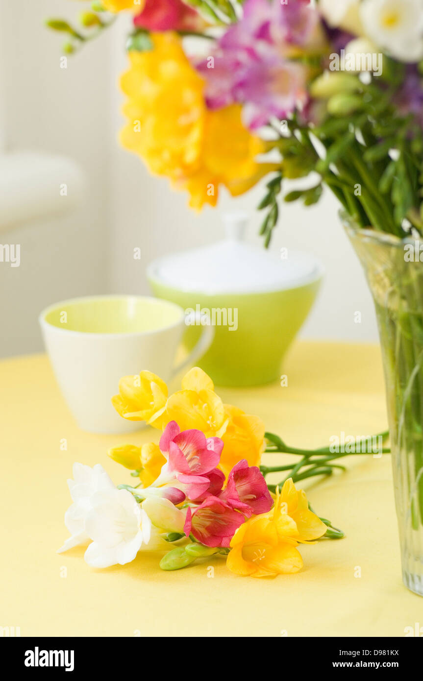 Un petit tas de jaune, rouge, violet, rose, blanc et jaune sur un Freesias tapis de table à côté d'un vase en verre de la même fleurs. Banque D'Images