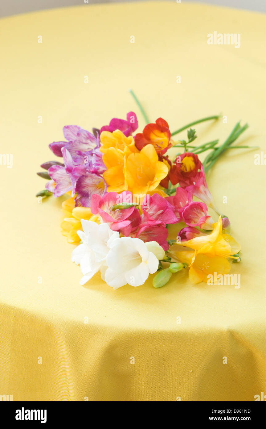 Un petit tas de jaune, rouge, violet, rose, blanc et jaune sur un Freesia table cloth. Banque D'Images