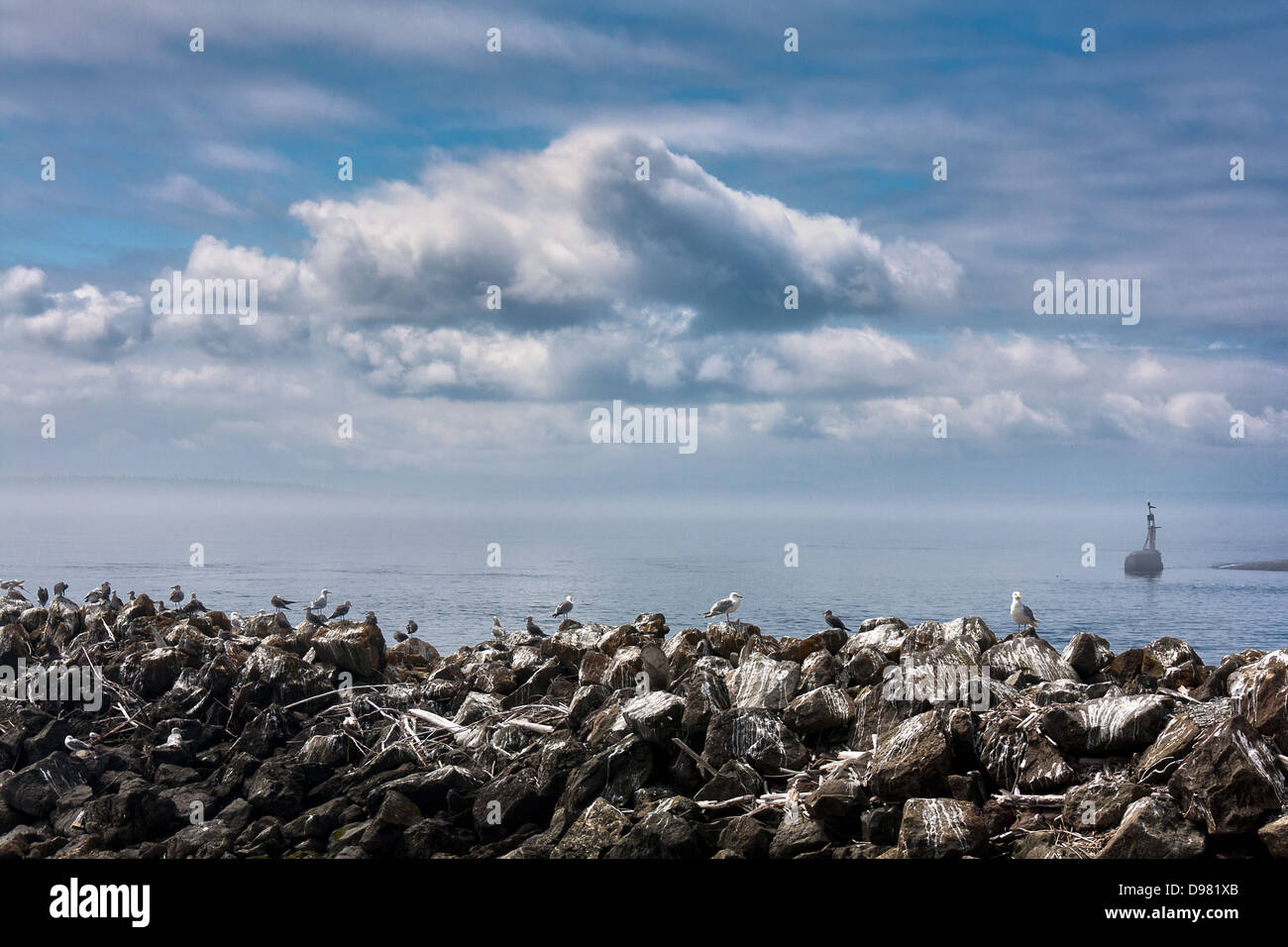 Recueillir des mouettes sur tas de roches couvertes d'excréments d'oiseaux sur partiellement nuageux jour au quai des ferries à Coupeville, Washington Banque D'Images