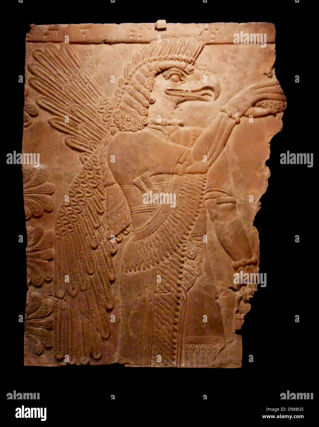 Génie ailé assyrien à quatre ailes un génie dans l'acte de la pollinisation. Le soulagement de la paroi nord du Palais d'Ashur-nasir-pal II, roi d'Assyrie de 883 à 859 BC à Nimrud. Ashur-nasir-pal II succède à son père, Tukulti-Ninurta II, en 884 avant JC. Banque D'Images