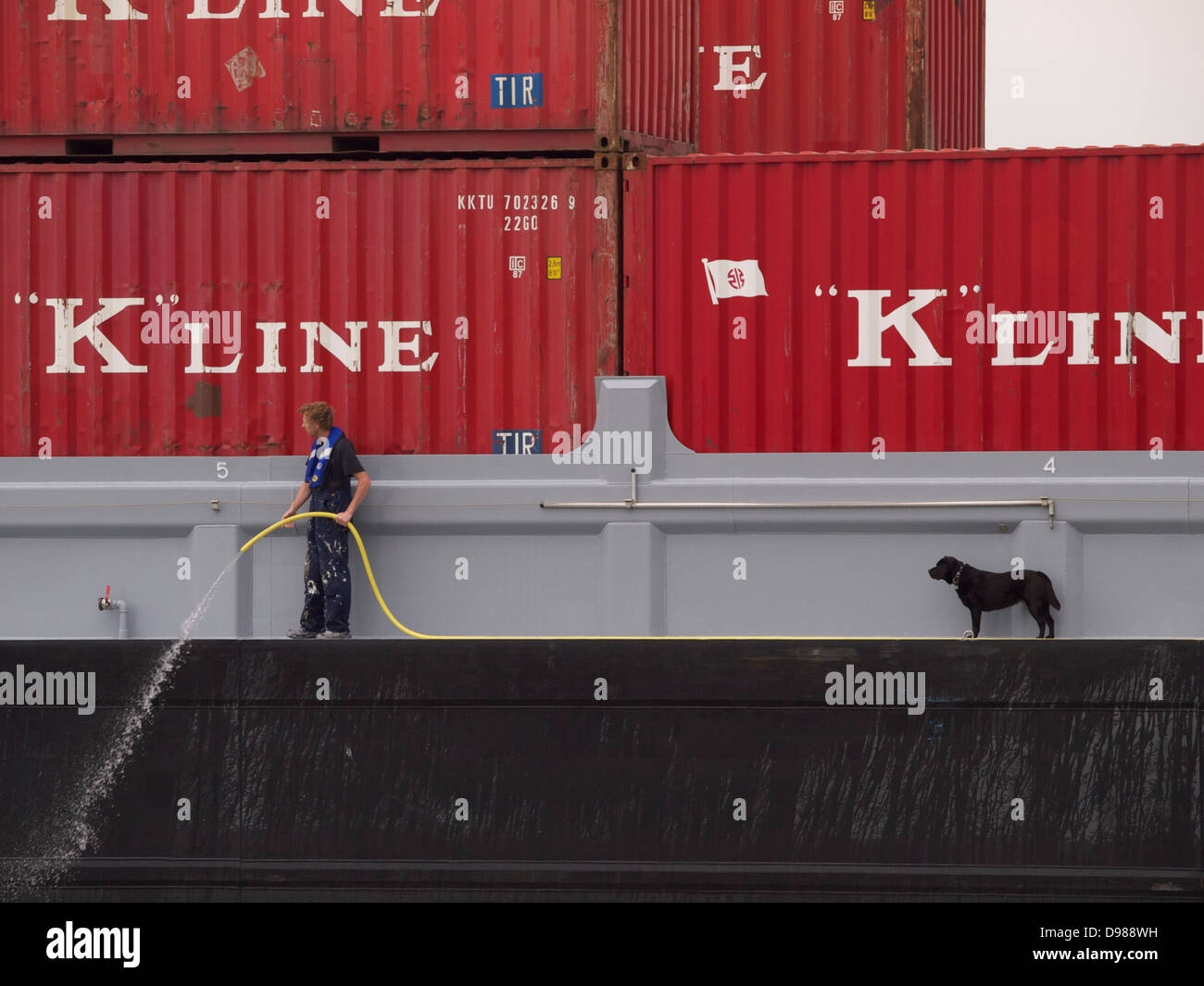 Marin sur une barge à conteneurs nettoyage du pont avec son chien à le regarder travailler. Port de Rotterdam, Pays-Bas Banque D'Images