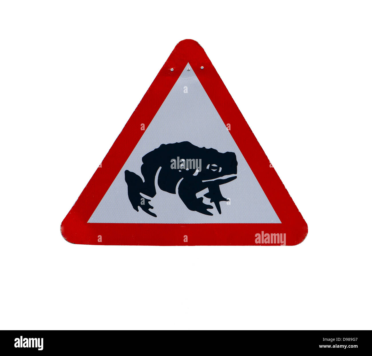 Triangle rouge avertissement avertissement les conducteurs à être conscients des grenouilles qui traversent la route dentelle sur fond blanc Banque D'Images