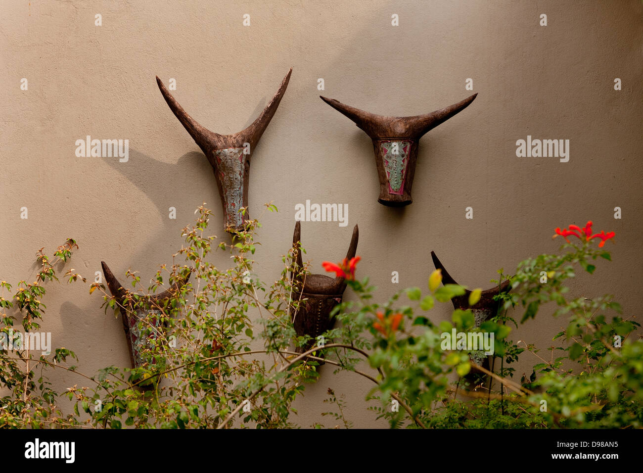 Homestead Lodge wall, Phinda Game Reserve Banque D'Images