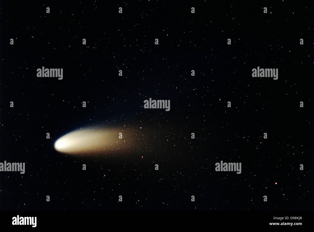La poussière et la queue d'ions de la comète Hale-Bopp. En 1997, la Comète Hale-Bopp la luminosité intrinsèque de l'dépassé toute comète depuis 1811. Banque D'Images