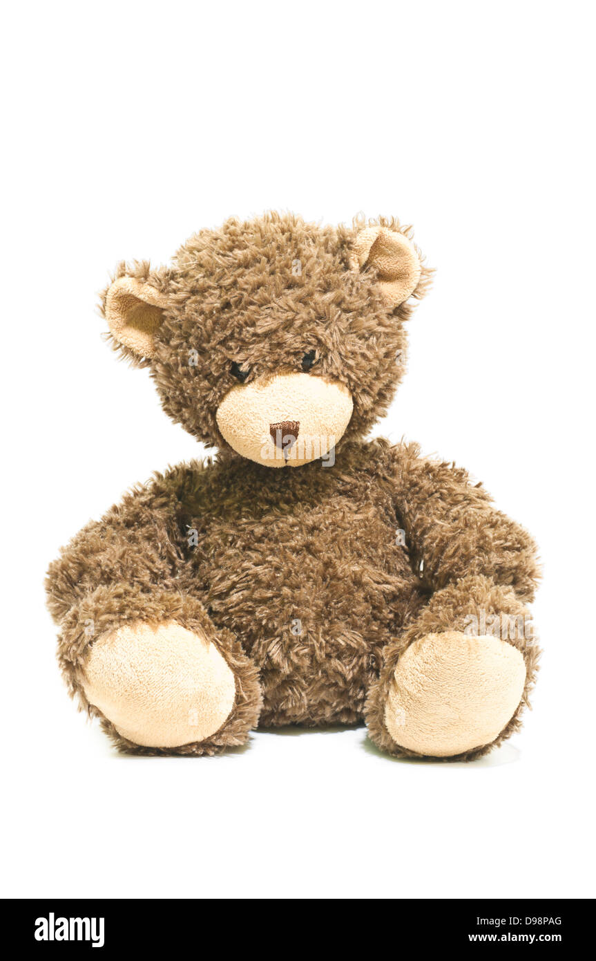 L'ours isolé sur fond blanc Banque D'Images
