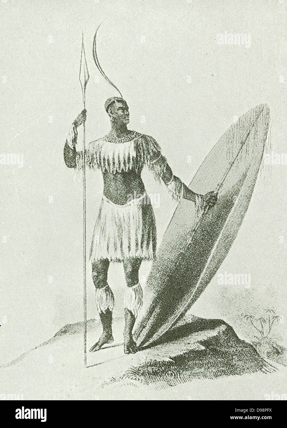 Chaka, le chef de l'Amazulu, qui a fait la nation de la terreur de  l'ensemble de l'Easteern l'Afrique du Sud. Il a été assassiné en 1828 et  remplacé par son demi-frère Dingaan