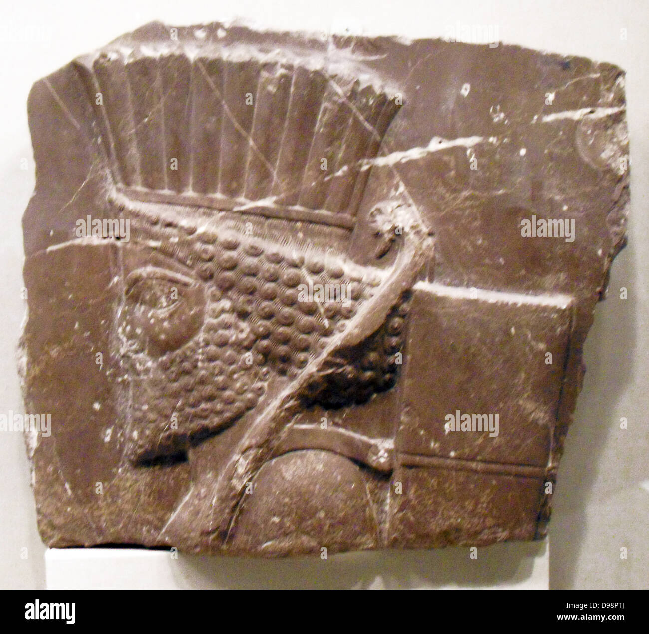 Chef d'un Persan garde. À partir de calcaire au sud ouest de l'Iran 485-465 BC excavées au lieu Xerses à Persepolis Banque D'Images