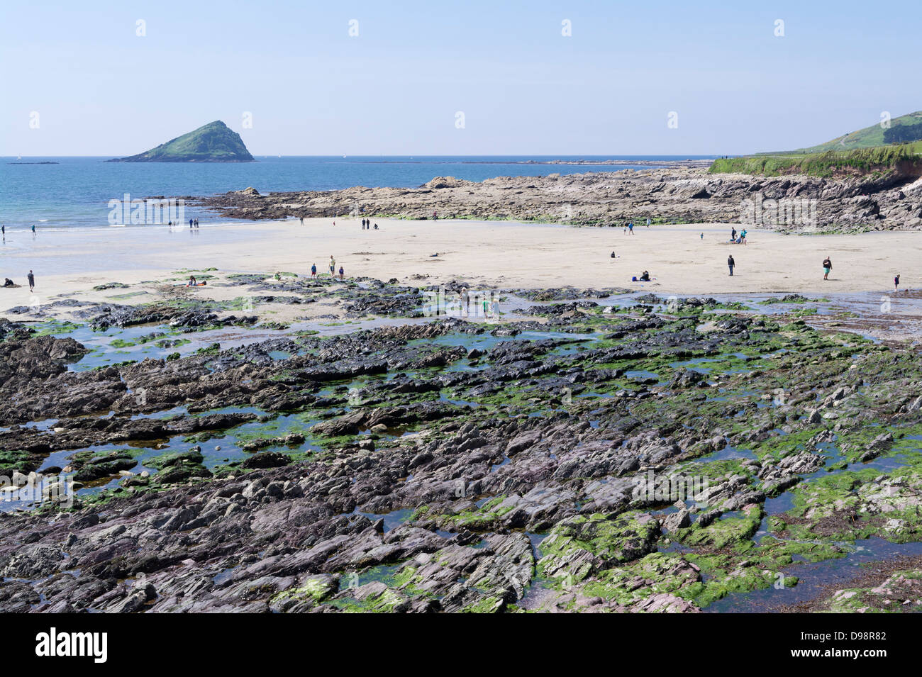 Devon plage Wembury Banque D'Images