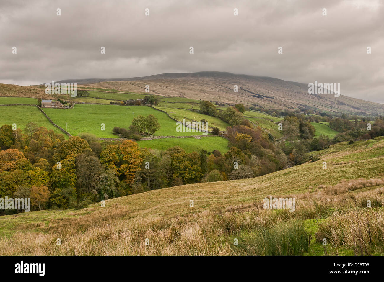 yorkshire-dales-terrain-vallonn-les-terres-agricoles-yorkshire-uk