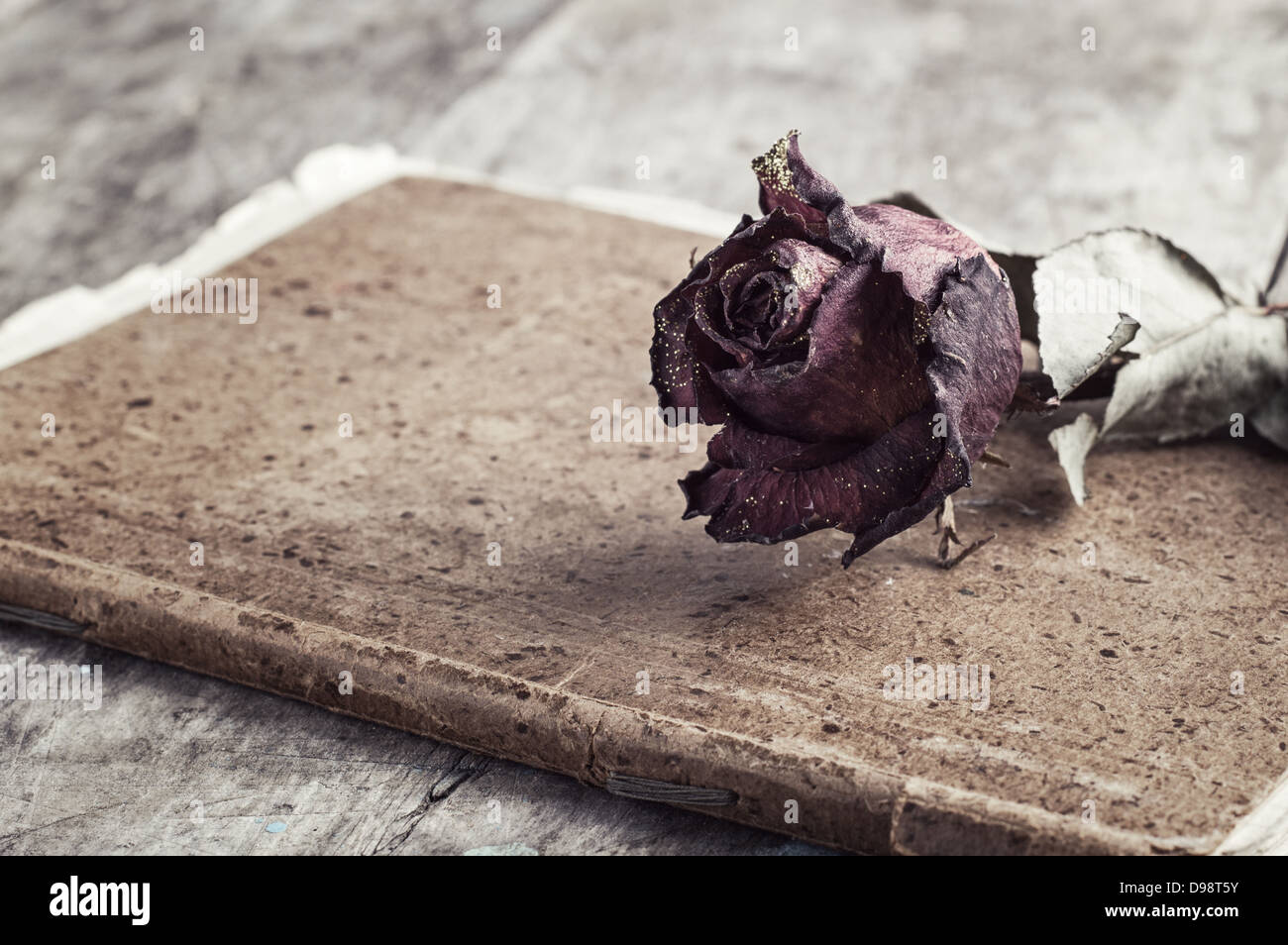 Rose séché sur l'ancien ordinateur portable,lettre d'amour Banque D'Images