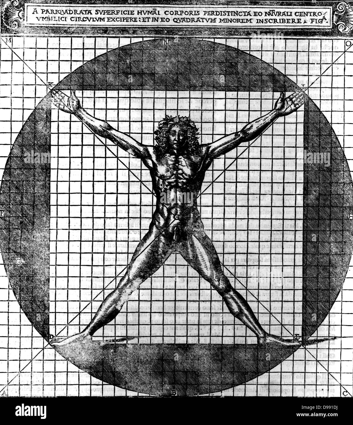 Proportions du corps humain après des études de Léonard de Vinci, aussi appelé l'homme de Vitruve. Les droits de l'homme corps aux membres inférieurs étendus, superposée sur une grille et un cercle. Gravure tirée de l'édition 1521 de Cesarino 'De' d'architecture de Vitruve. Banque D'Images