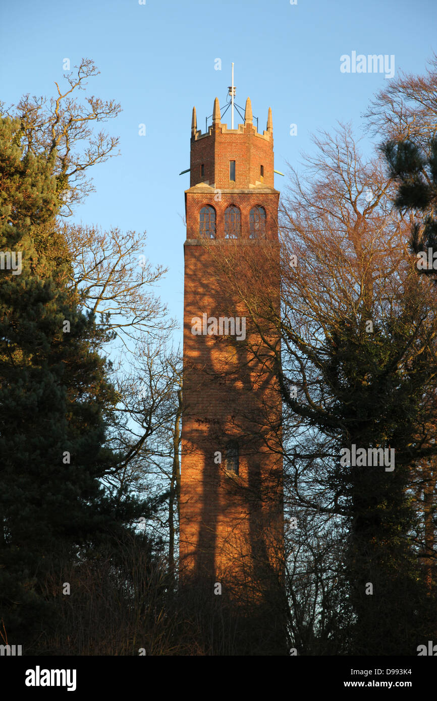 Faringdon Folly, vu contre un ciel bleu clair Banque D'Images