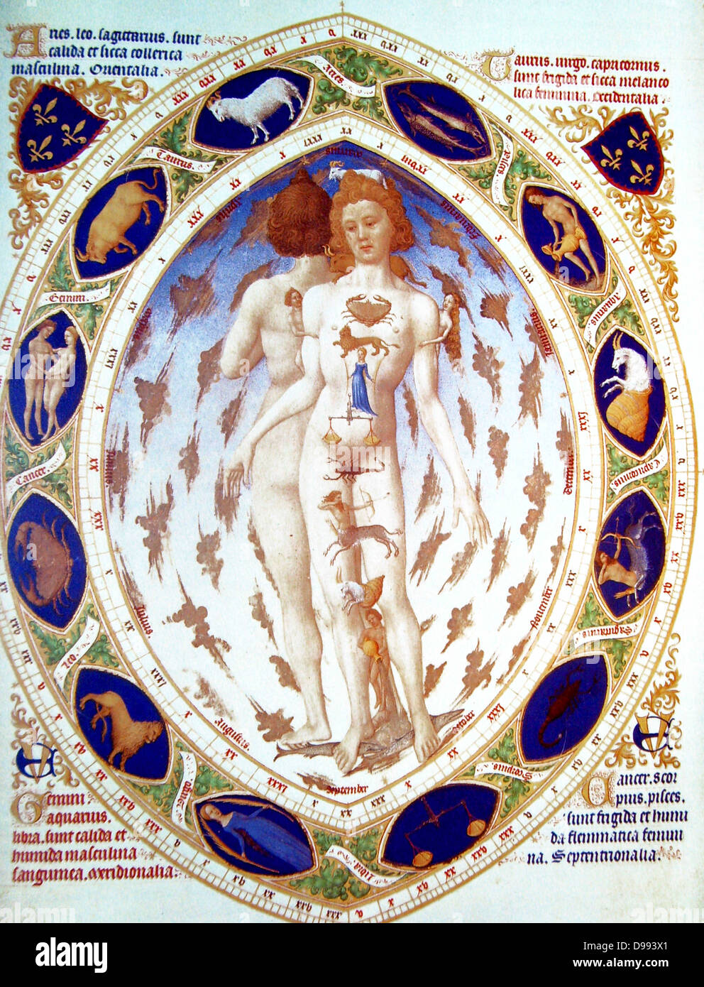 Melothesia" (homme) du zodiaque 'Très Riches Heures 1413-1416, le Duc de Berry. Éclairement sur parchemin, Chantilly, musée Condé Banque D'Images
