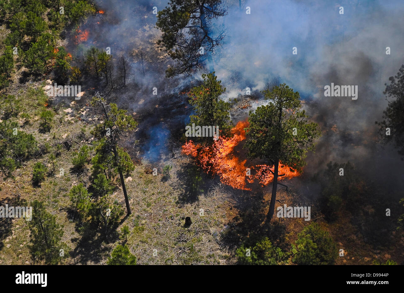 Vue aérienne de la fumée et du feu autour d'une maison causé par l'incendie de forêt noire le 12 juin 2013 près de Colorado Spring Co., l'incendie a tué deux personnes et détruit plus de 500 maisons de plus en plus destructrices de l'incendie dans le Colorado. Banque D'Images