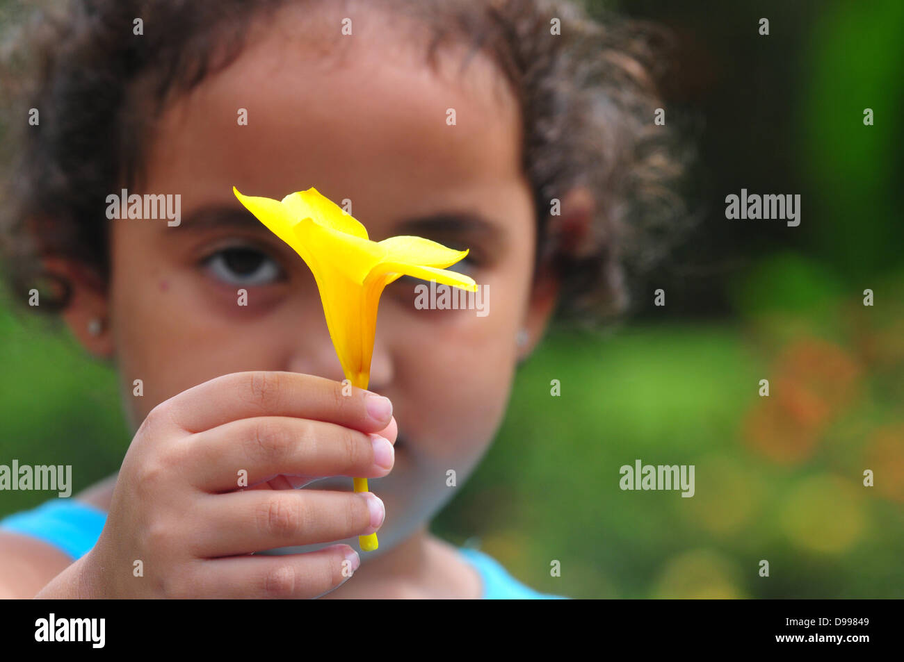 Petite fille offrant une fleur jaune Banque D'Images