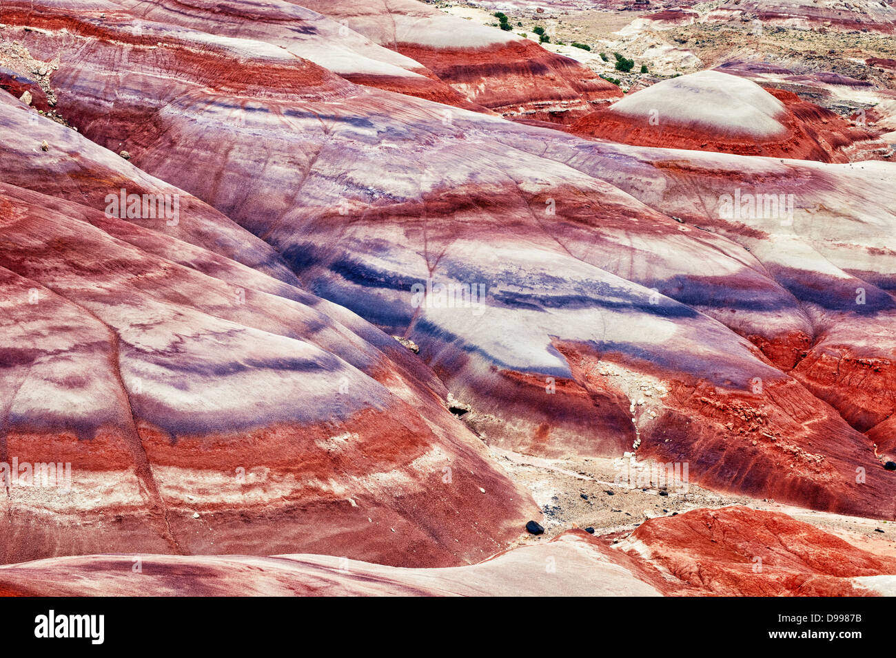 Nuit pluie de cendres volcaniques colorés enrichit les dépôts à la bentonite Hills en Utah's Capitol Reef National Park. Banque D'Images