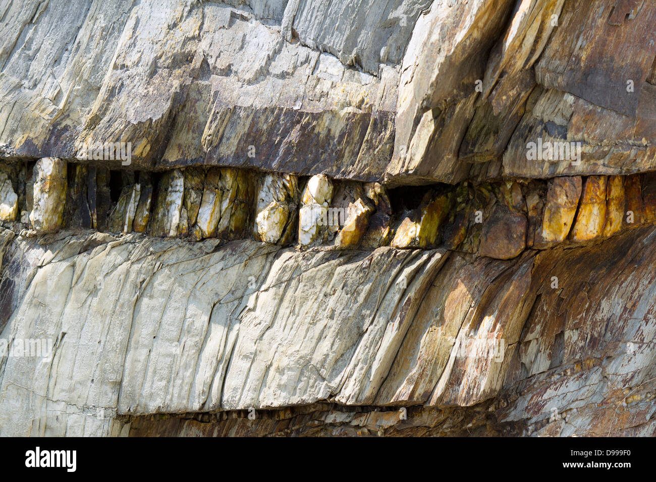 Veine de quartz dans le schiste argileux, près de Fowey, Cornwall, UK Banque D'Images