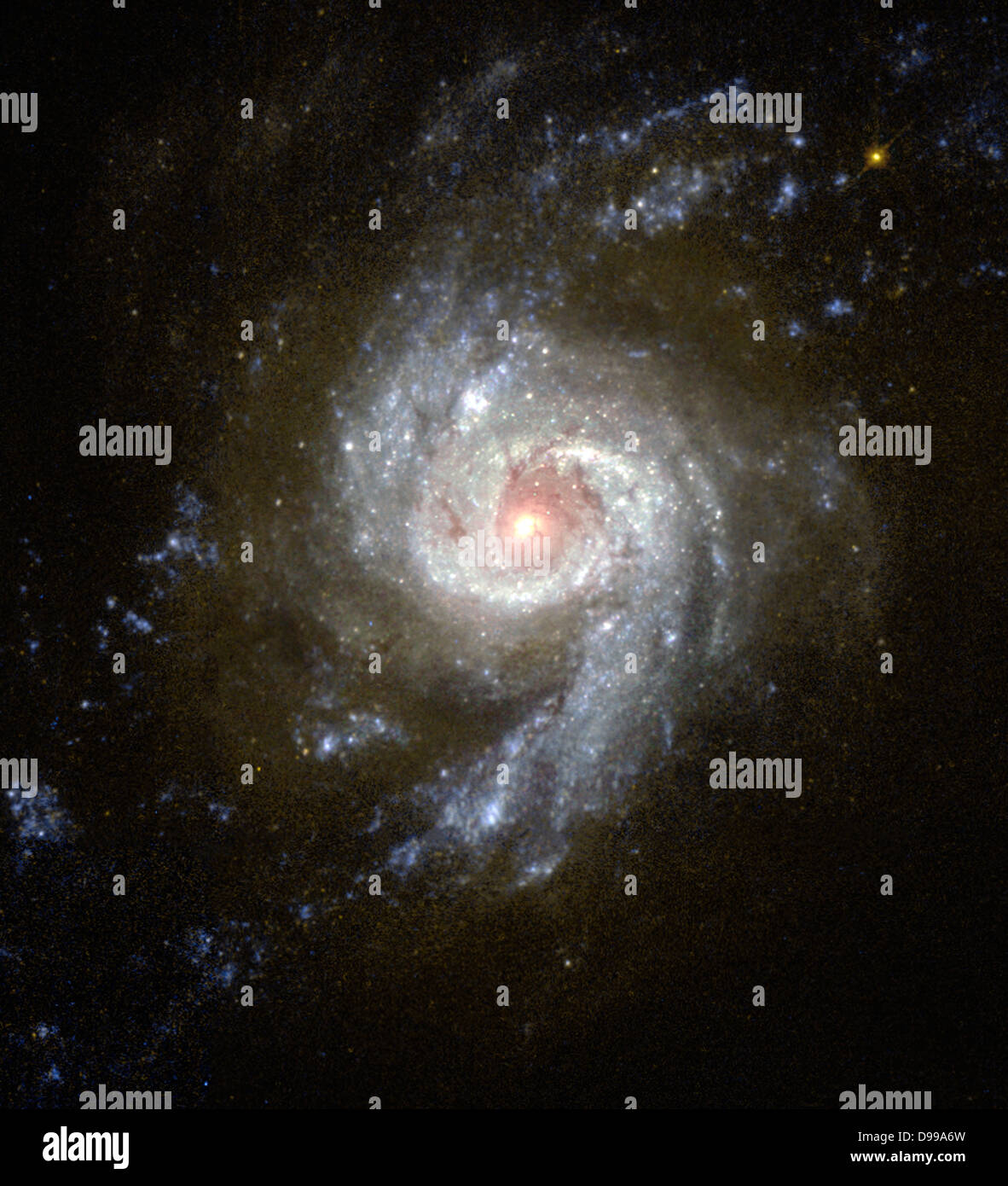La galaxie NGC 3310. C'est l'un des plusieurs galaxies starburst, qui sont des foyers de formation d'étoiles. Télescope spatial Hubble (HST). Banque D'Images