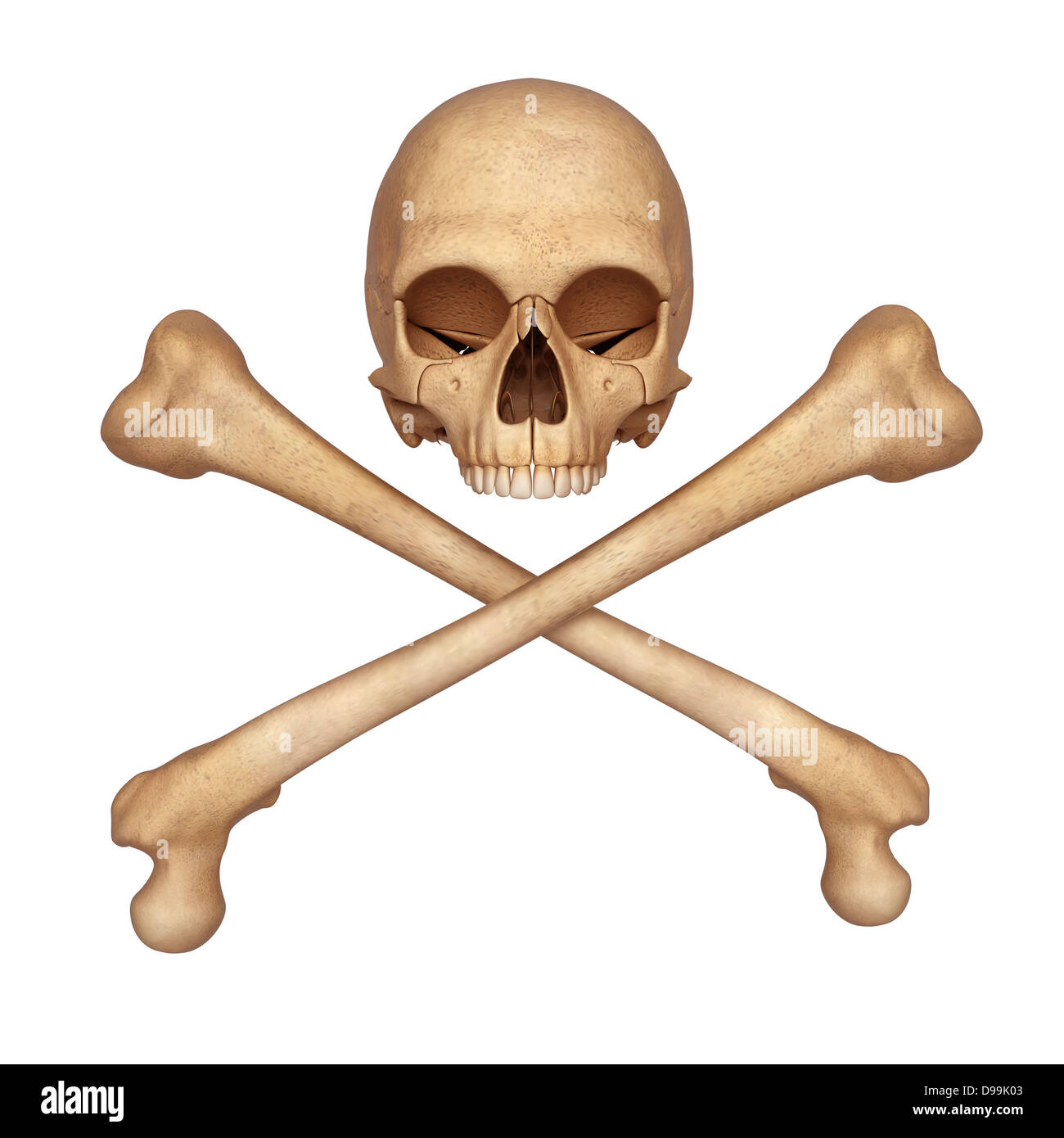 Crâne squelette avec des os isolés avec white Banque D'Images